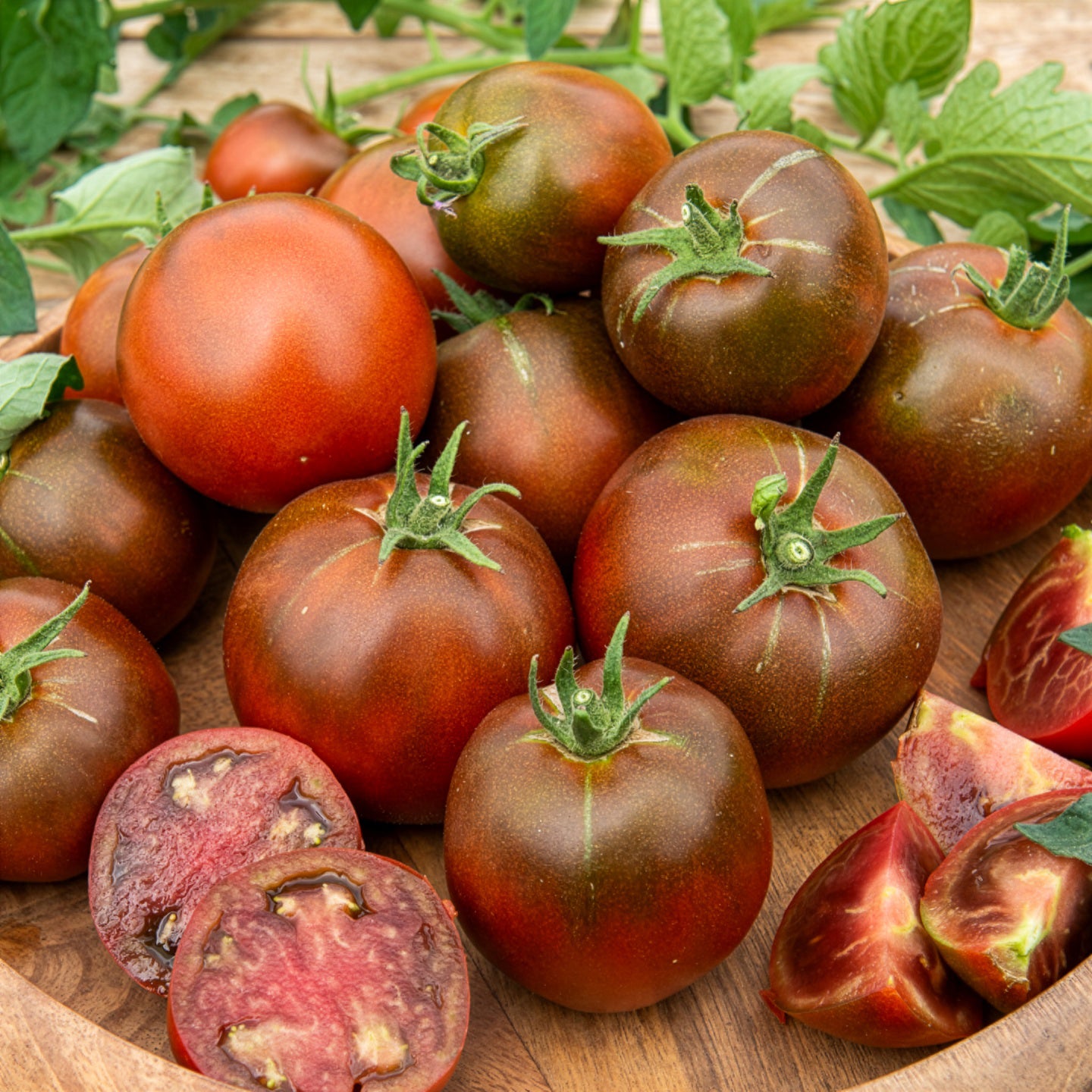 Schwarze Fleischtomate 'Noire Russe' - Solanum lycopersicum noire russe - Bakker