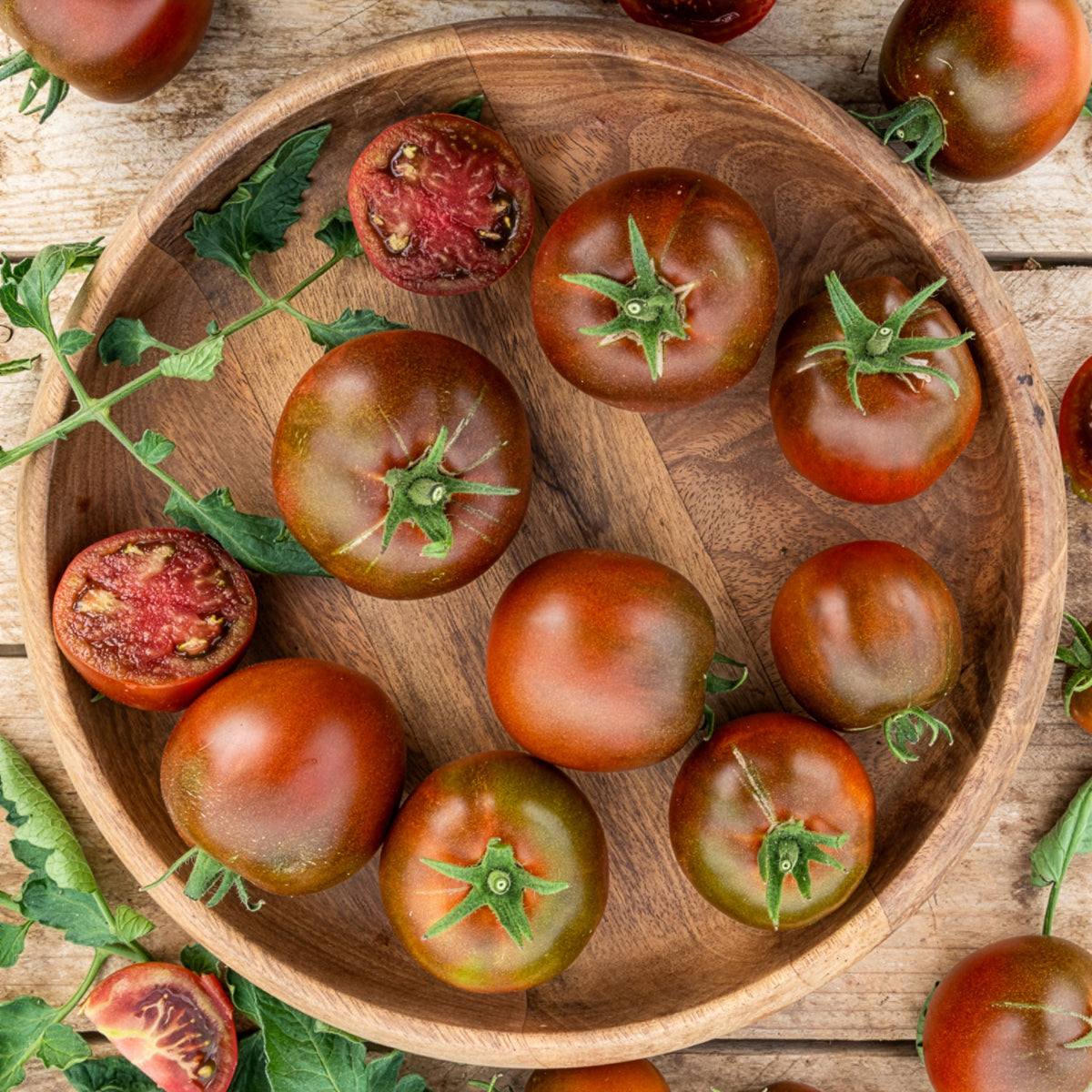 Schwarze Fleischtomate 'Noire Russe' - Bakker
