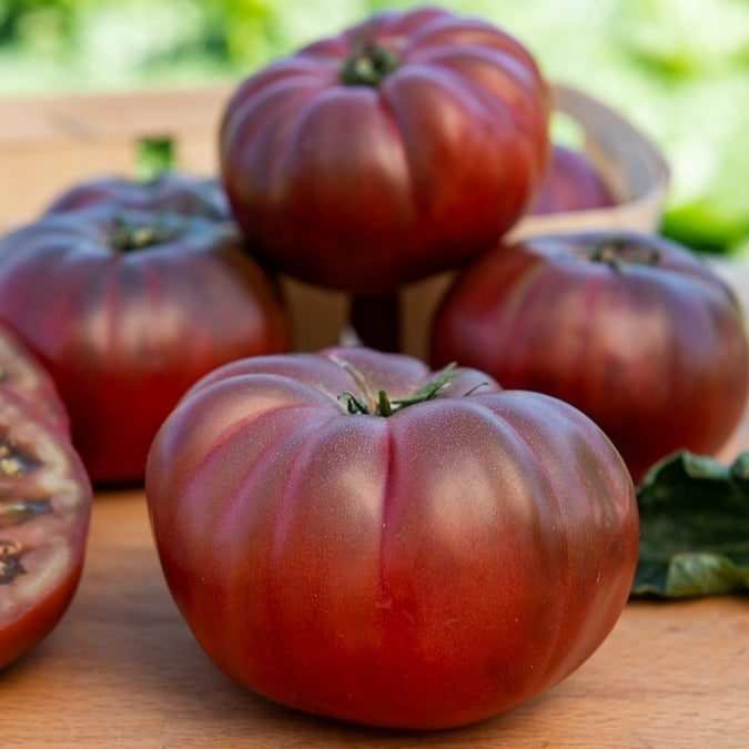 Tomate ‘Noire de Crimée’ - Bakker
