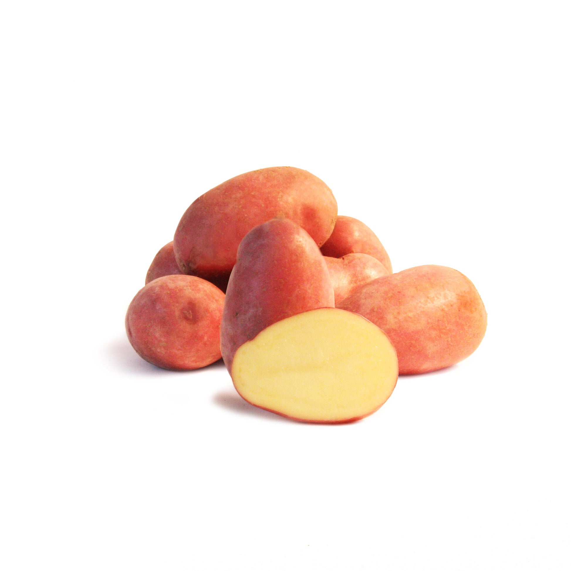 Kartoffelpflanzen - Kartoffel ‘Rose de France’ - Solanum tuberosum rose de france (cirielle)