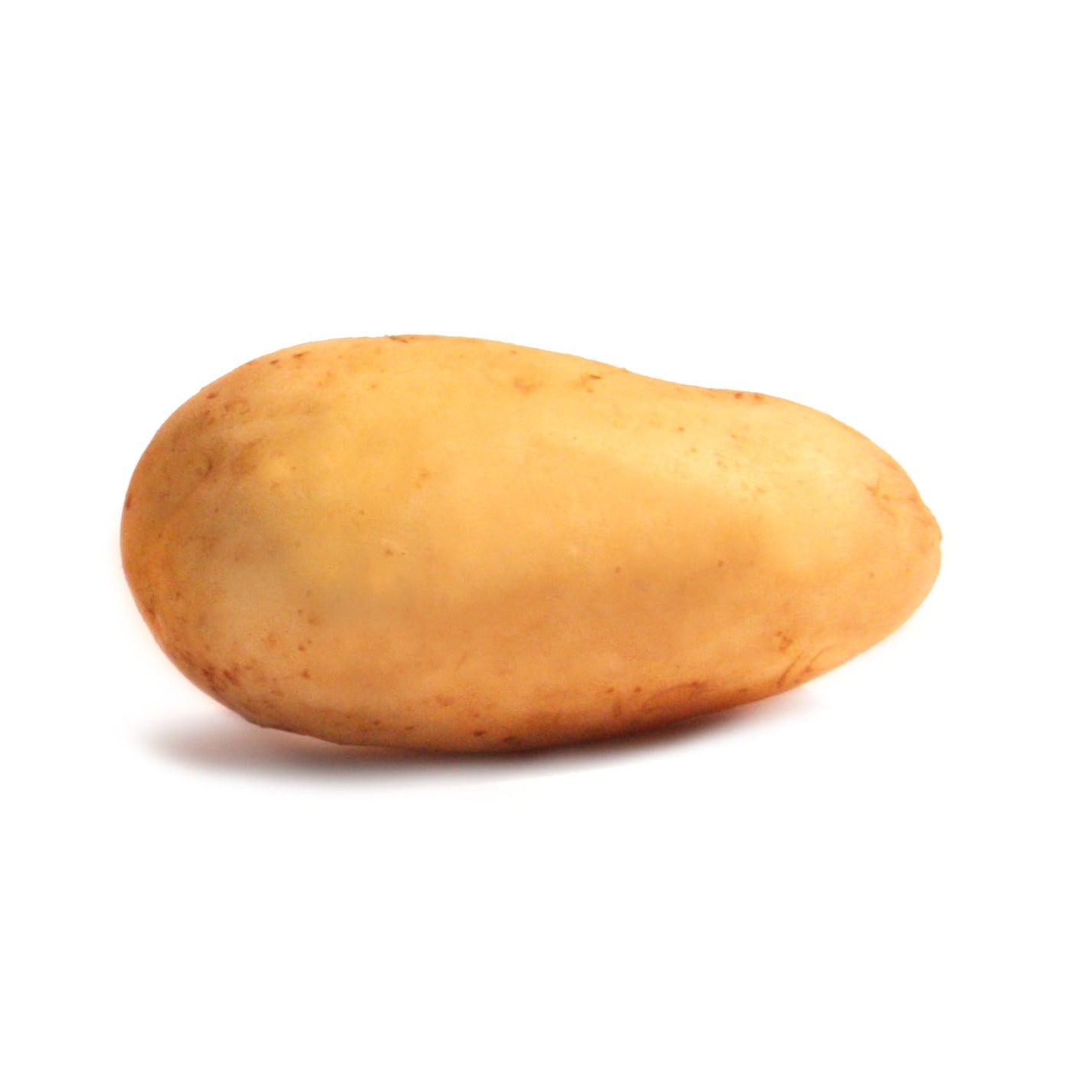 Solanum tuberosum blanche (cn 991131) - Bio-Kartoffel ‘Blanche’ (x25) - Kartoffelpflanzen