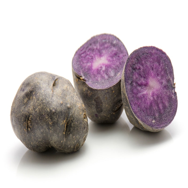 Kartoffelpflanzen - Kartoffel 'Ulysse' Bio - Solanum tuberosum ulysse