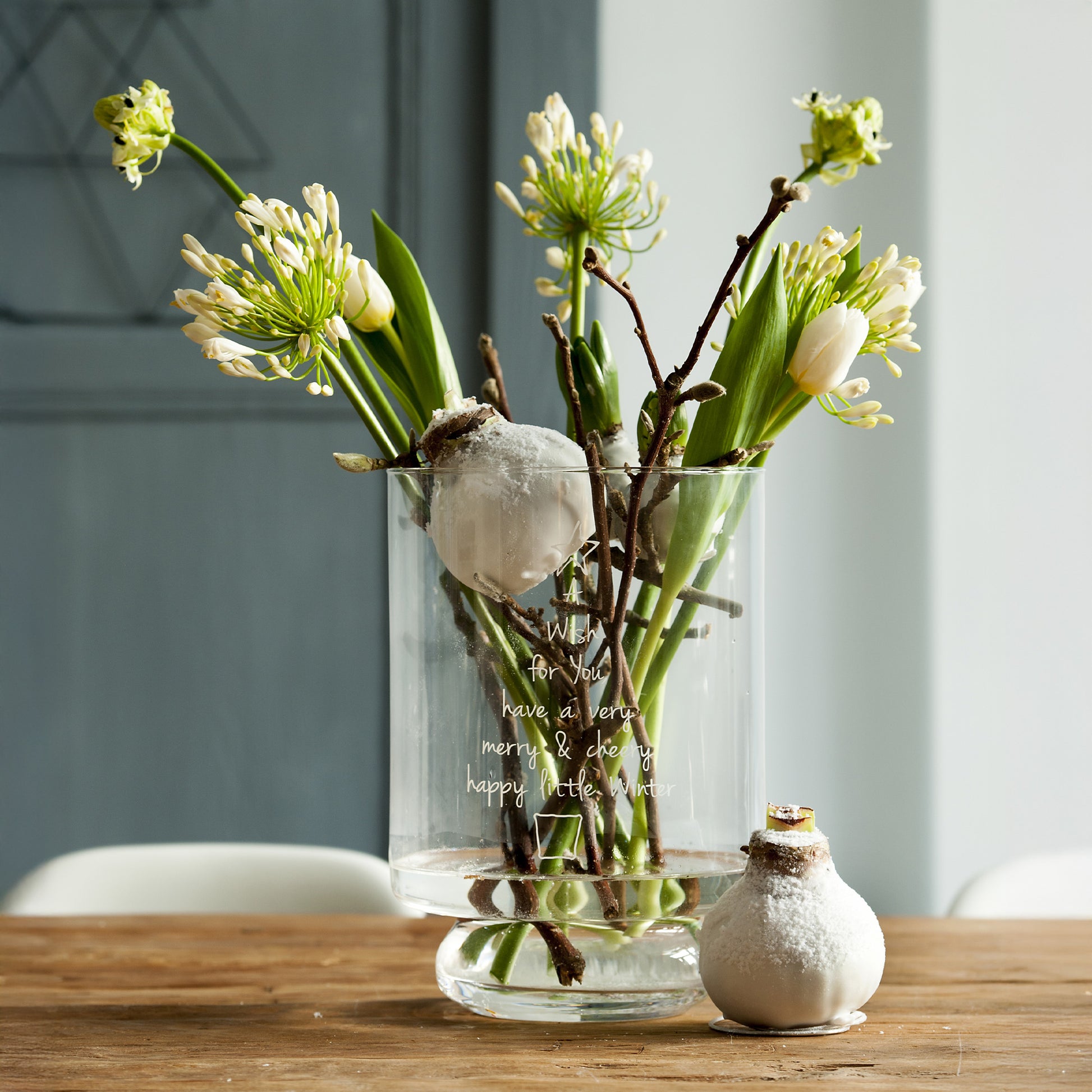 Wachs Amaryllis Magic White - Amaryllis Magic White - Bakker
