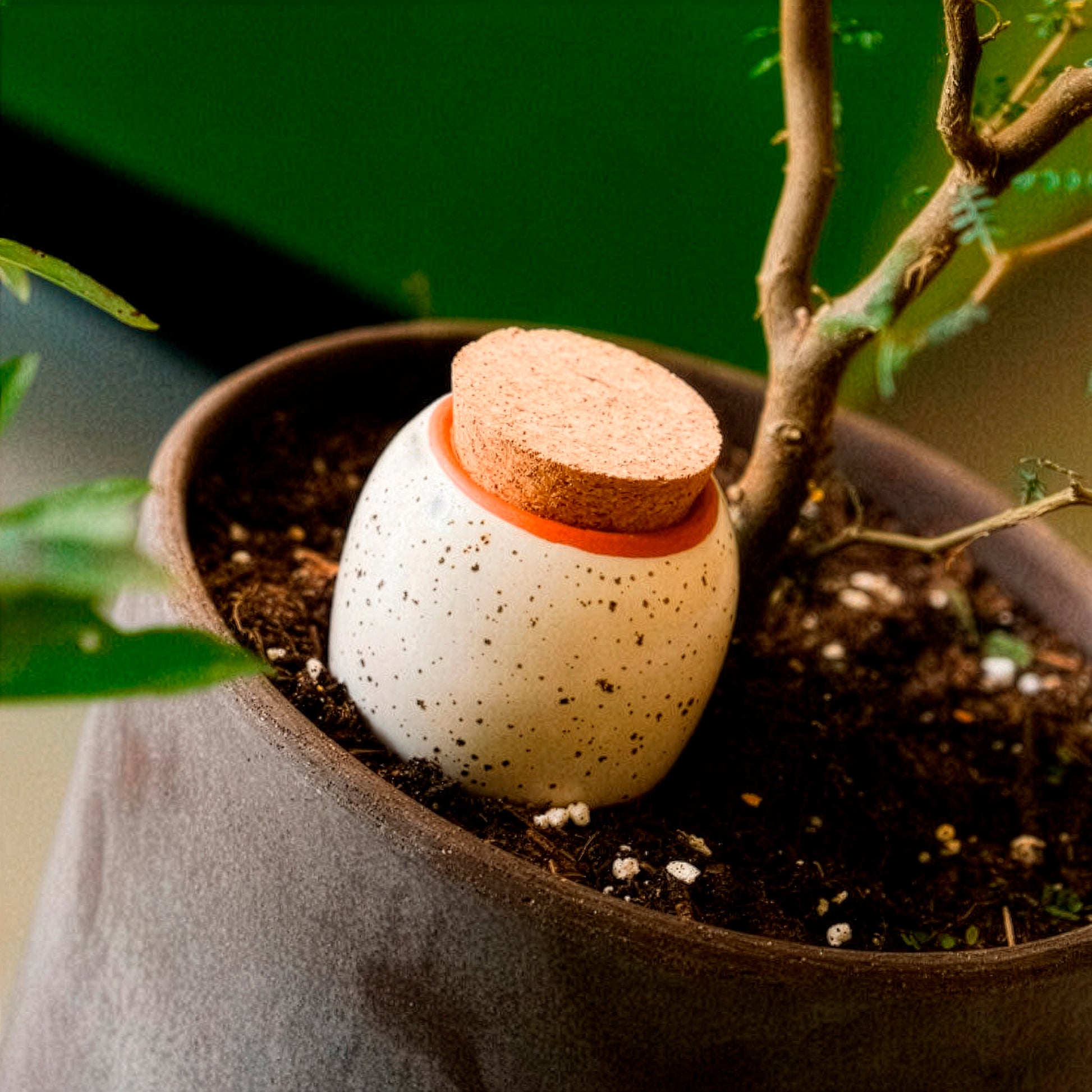 Olla – Gekörntes Weiß -  - Bakker
