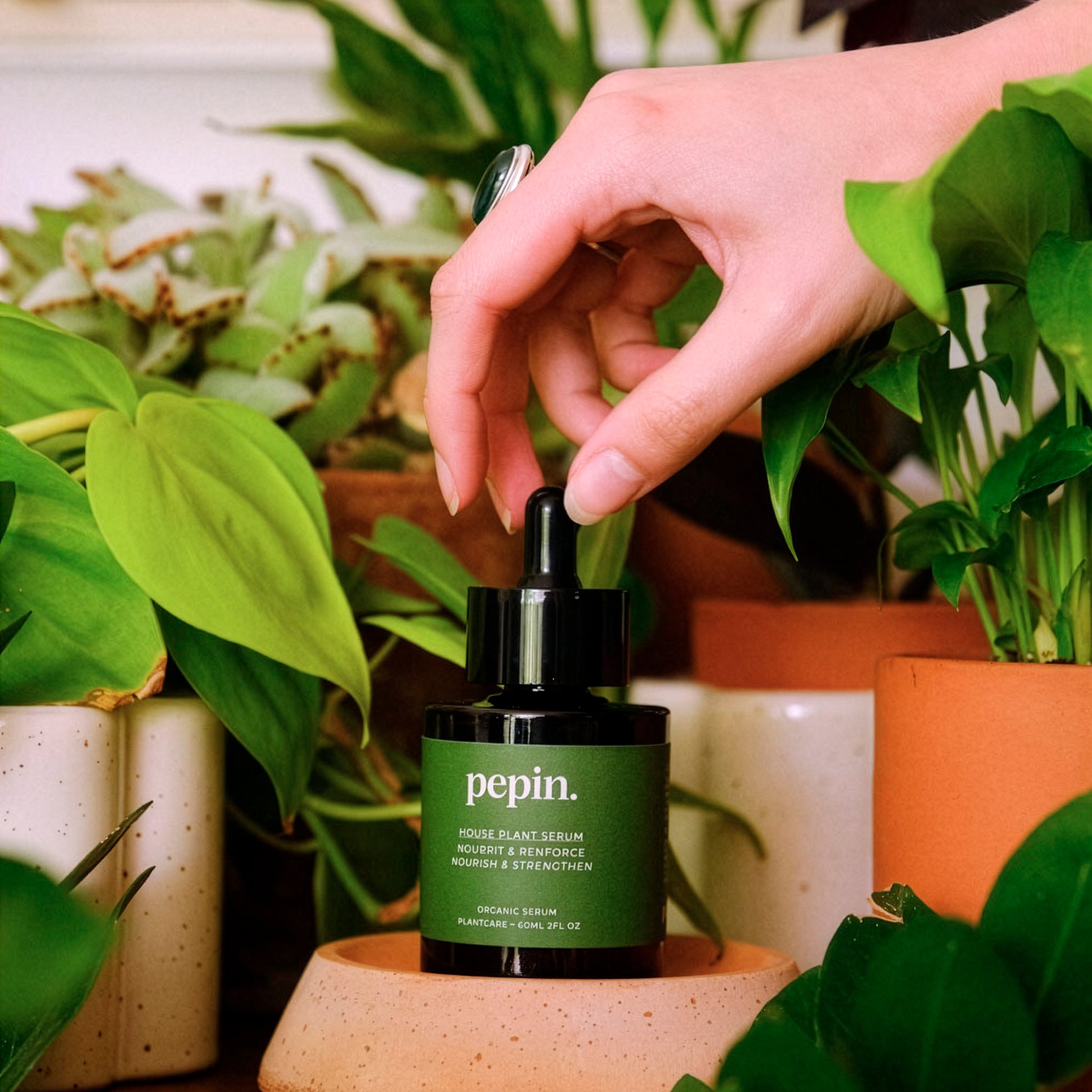 Pflegendes Serum – Grüne Pflanzen - Bakker