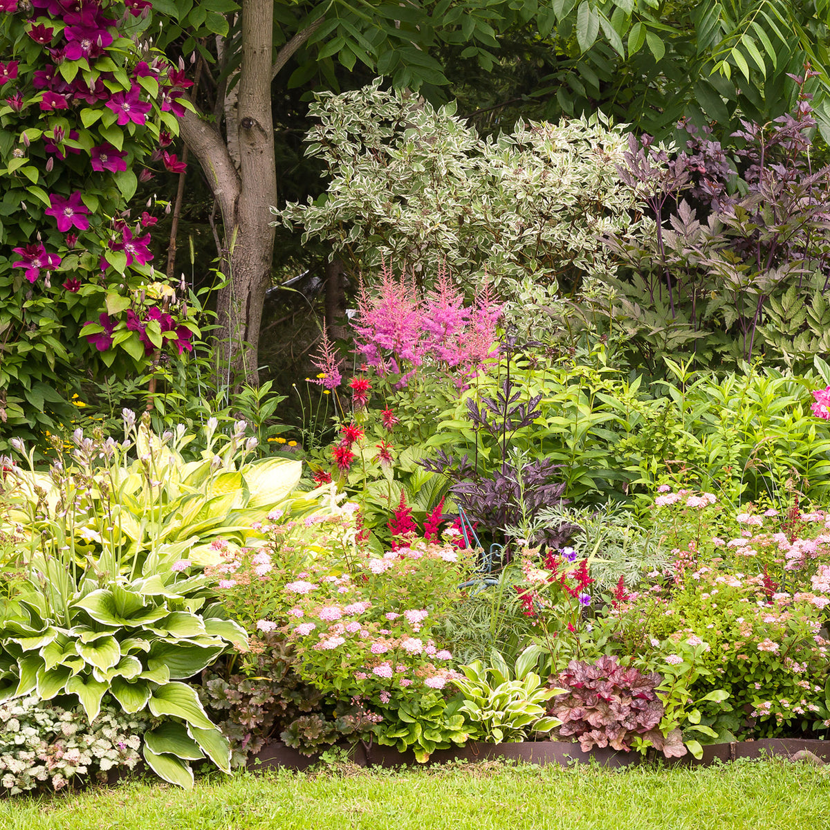 Unsere Tipps für den Garten