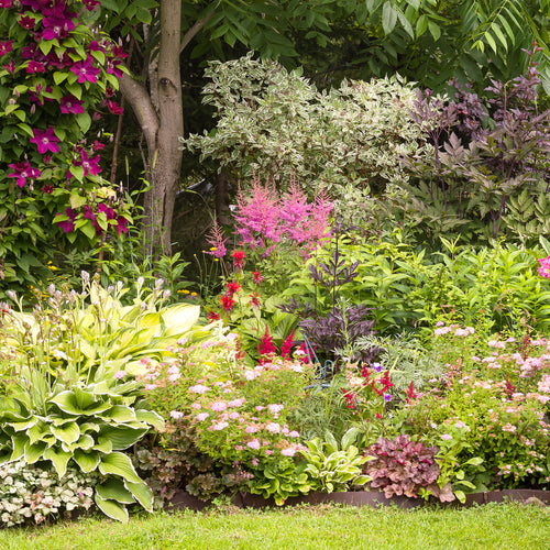 Unsere Tipps für den Garten
