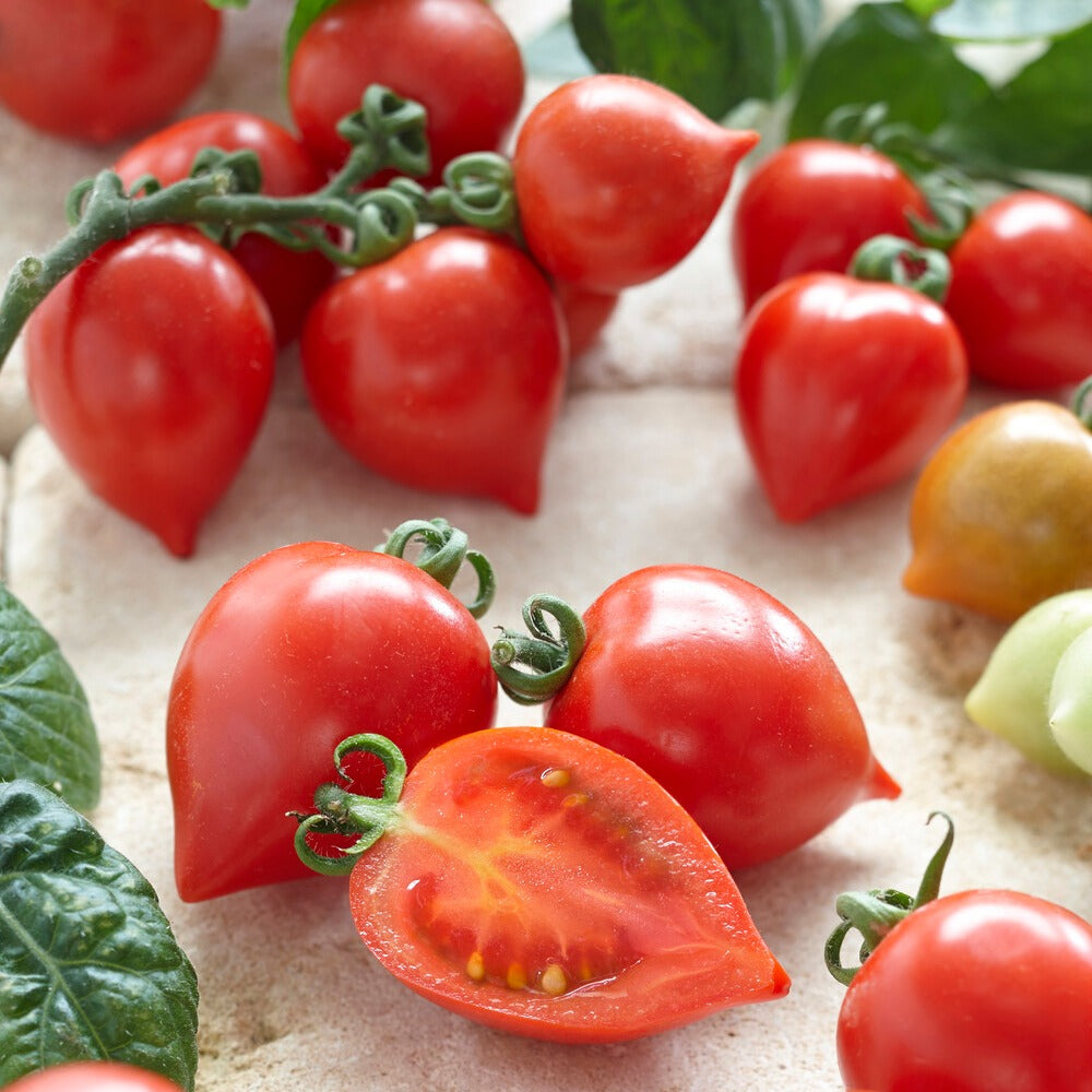 Cherrytomate ‘Heartbreaker Vita’ F1 - Solanum lycopersicum heartbreaker vita f1 - Bakker
