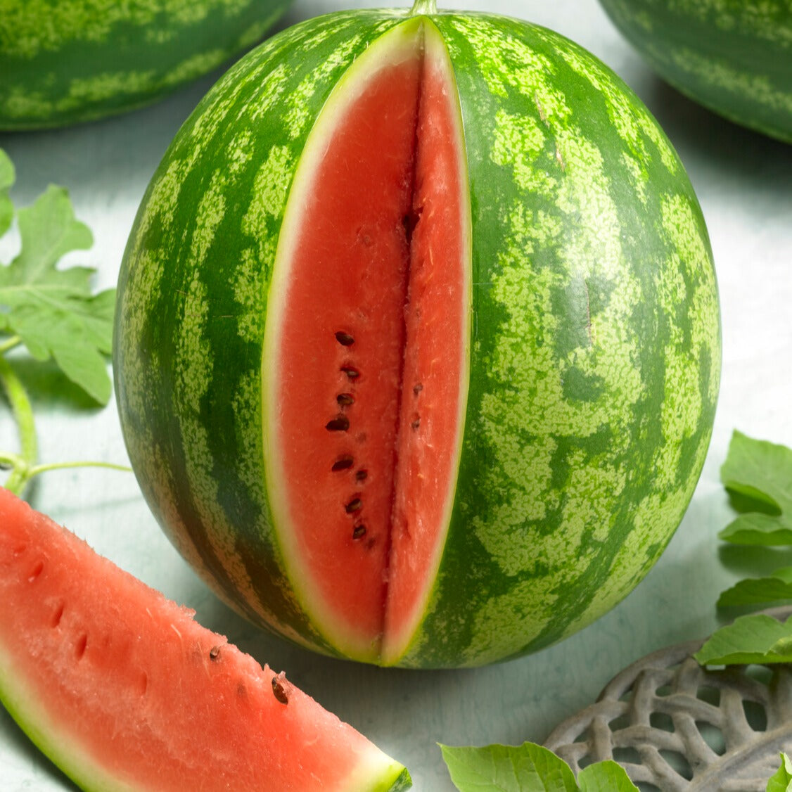 Wassermelone Crimson Sweet Bio - Citrullus lanatus crimson sweet - Bakker