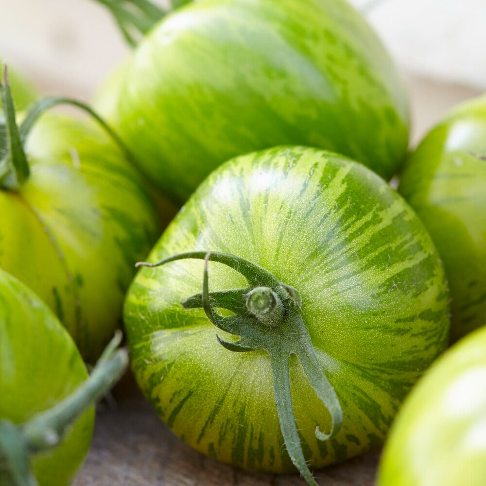 Lycopersicon lycopersicum Green Zebra - Tomate ‘Green Zebra’ - Samen für Tomaten