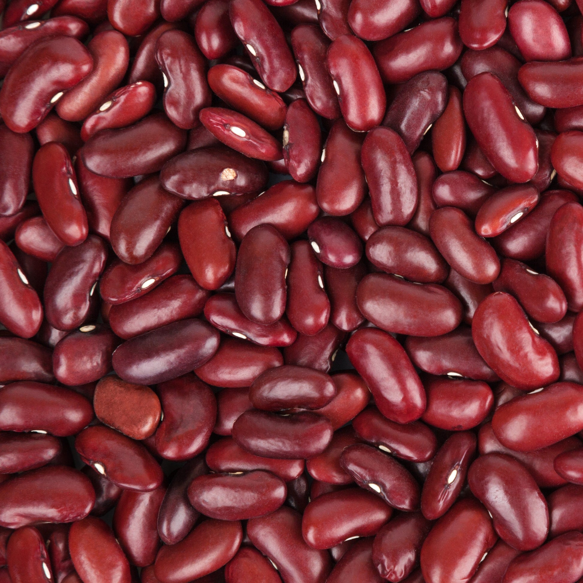 Rote Bohnen - Bakker