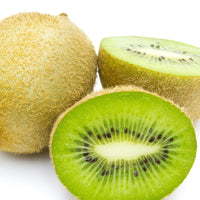 Kiwi Jenny - Actinidia deliciosa Jenny - Bakker