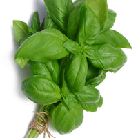 Kräuterpflanzen-Kollektion Basilikum, Schnittlauch, Petersilie, Thymian (x4) - Basilic, ciboulette, persil, thym - Bakker