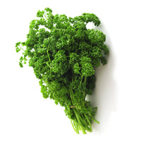 Verkauf Kräuterpflanzen-Kollektion Basilikum, Schnittlauch, Petersilie, Thymian (x4) - Basilic, ciboulette, persil, thym
