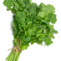 Koriander - Coriandrum sativum - Bakker