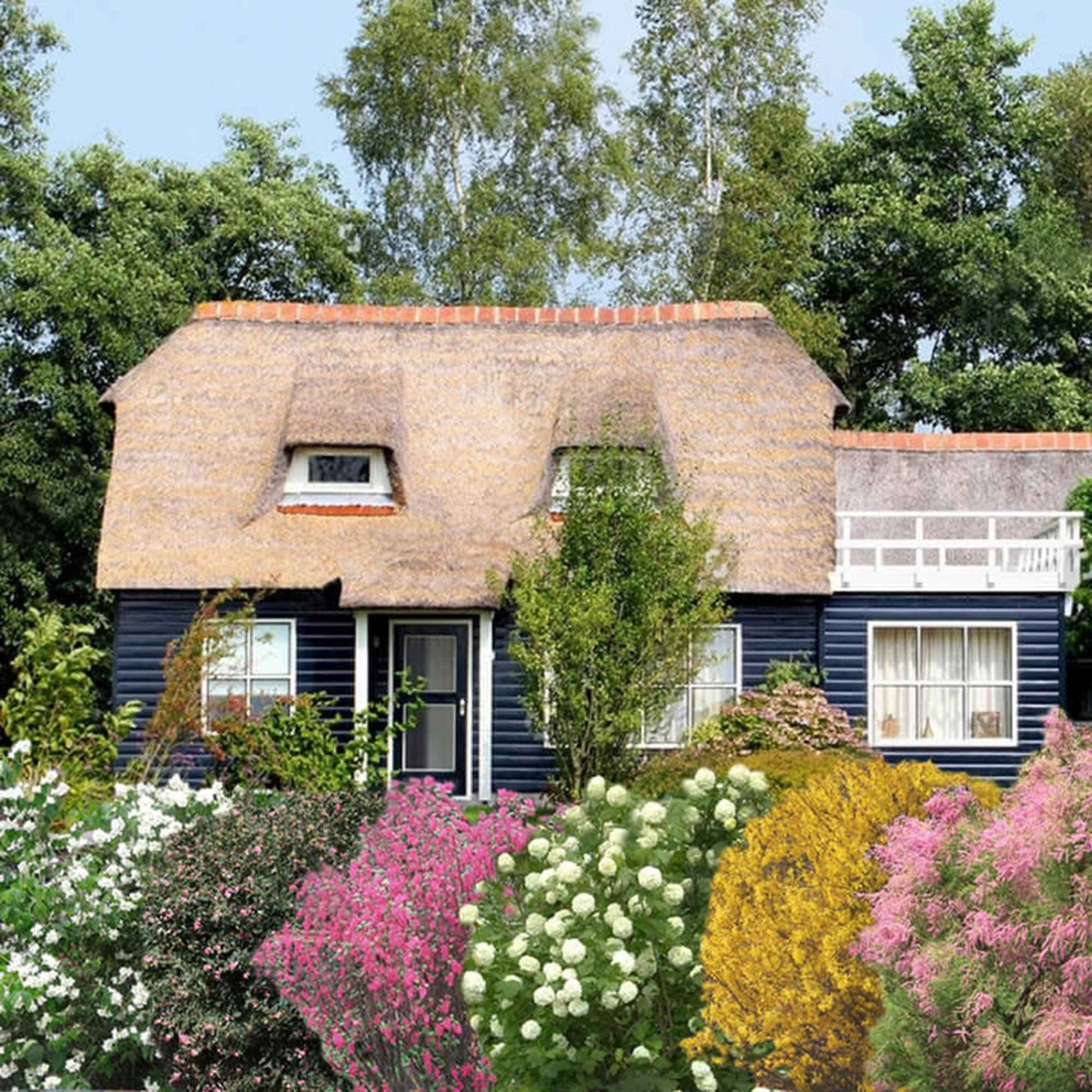 Hecken-Kollektion vier Jahreszeiten (6 Sträucher) - Tamarix, forsythia, philadelphus, ribes, symphonicarpus, viburnum - Bakker