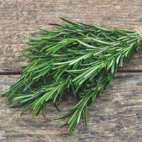 Rosmarin - Rosmarinus officinalis - Bakker