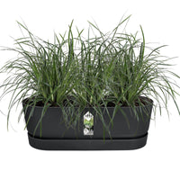 Verkauf Balkonkasten Greenville Living schwarz - 