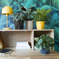 Pflege und Material - Elho Blumentopf B.for rock living schwarz - 