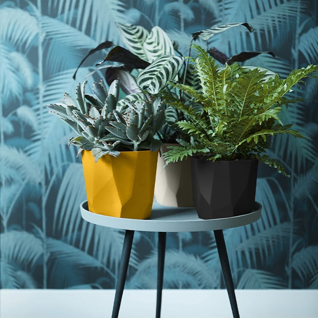 Verkauf Elho Blumentopf B.for rock living schwarz