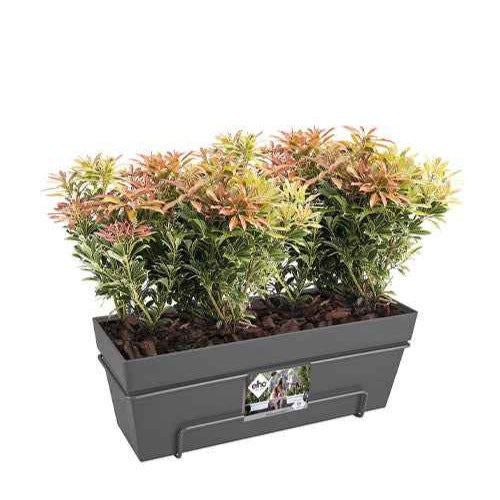 Pflanzgefäße und Blumenkästen - Elho Balkonkasten Loft Urban allin1 rechteckig anthrazit - 