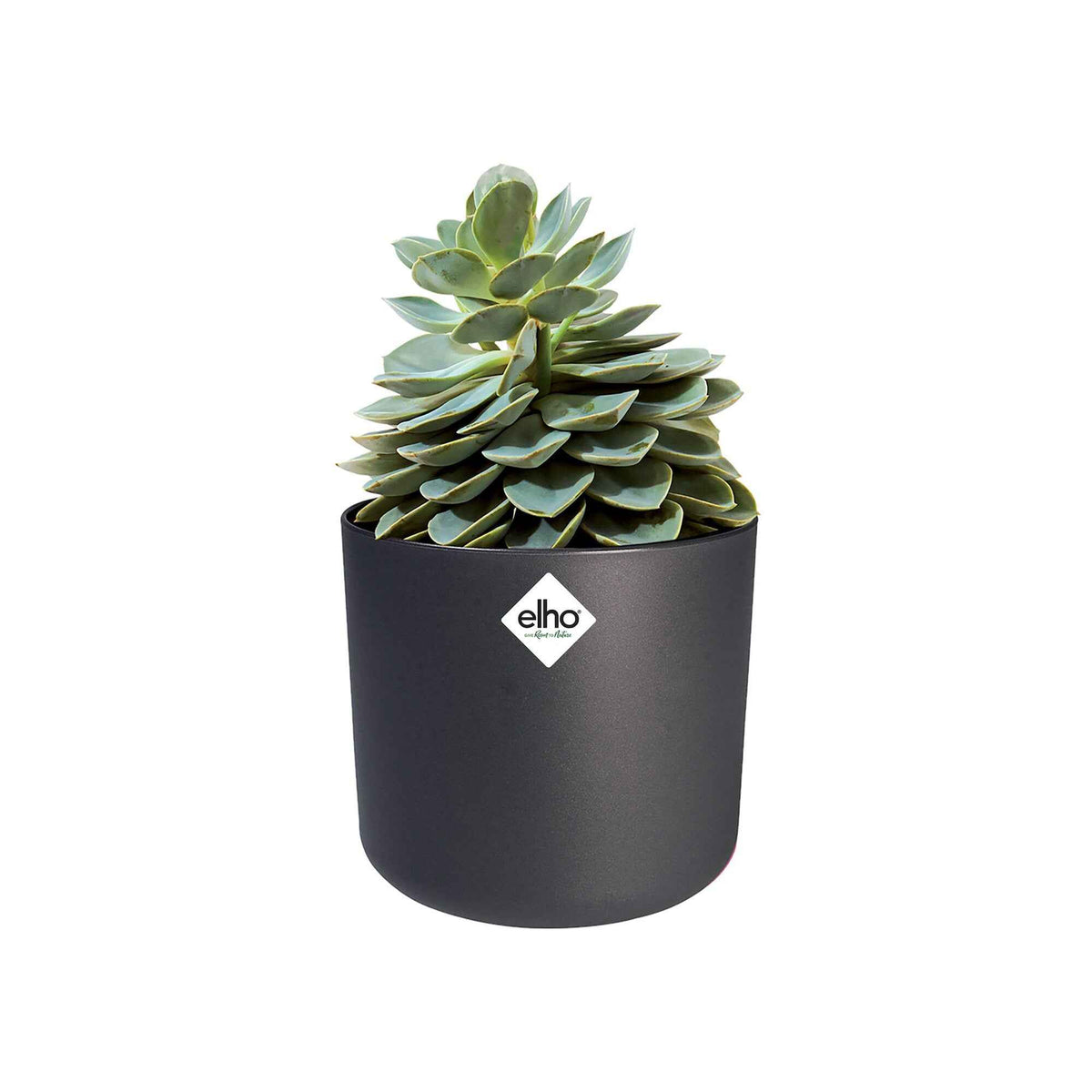 Elho Blumentopf B.for soft rund anthrazit -  - Bakker