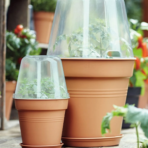 Verkauf Elho Orchideentopf - 