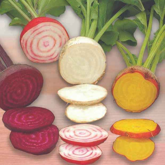 Rote-Bete-Mischung ‘Hullahup’ - Bakker