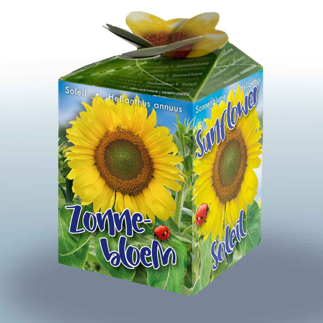 Sonnenblumen-Set - Bakker