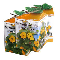 Schwarzäugige Susanne-Set - Bakker
