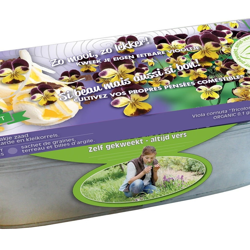 Stiefmütterchen Samen Bio - Bakker