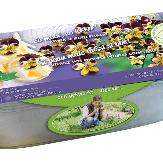Stiefmütterchen Samen Bio - Bakker