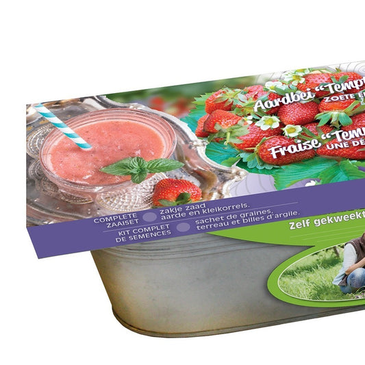 Erdbeersamen-Set - Bakker