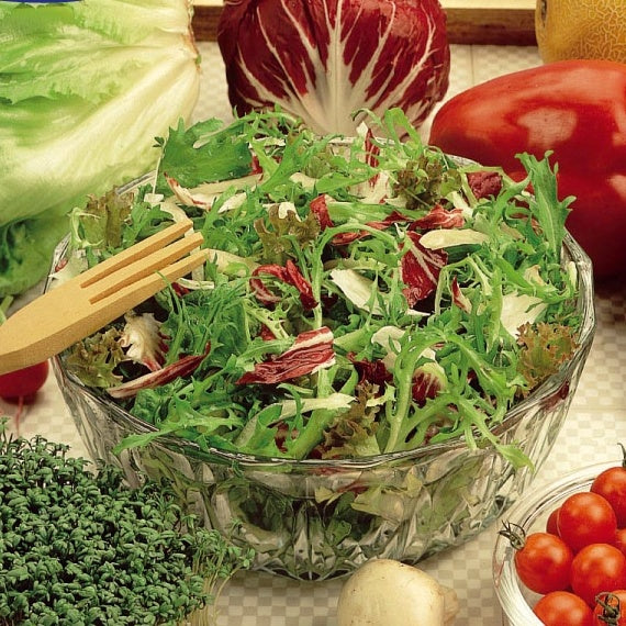 Salat in einer Gastronomenschnittmischung - Bakker