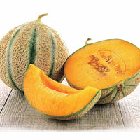 Zuckermelone Stellio F1 - Cucumis melo stellio f1 - Bakker