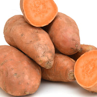 Ipomoea batatas - Süßkartoffel - Kartoffelpflanzen