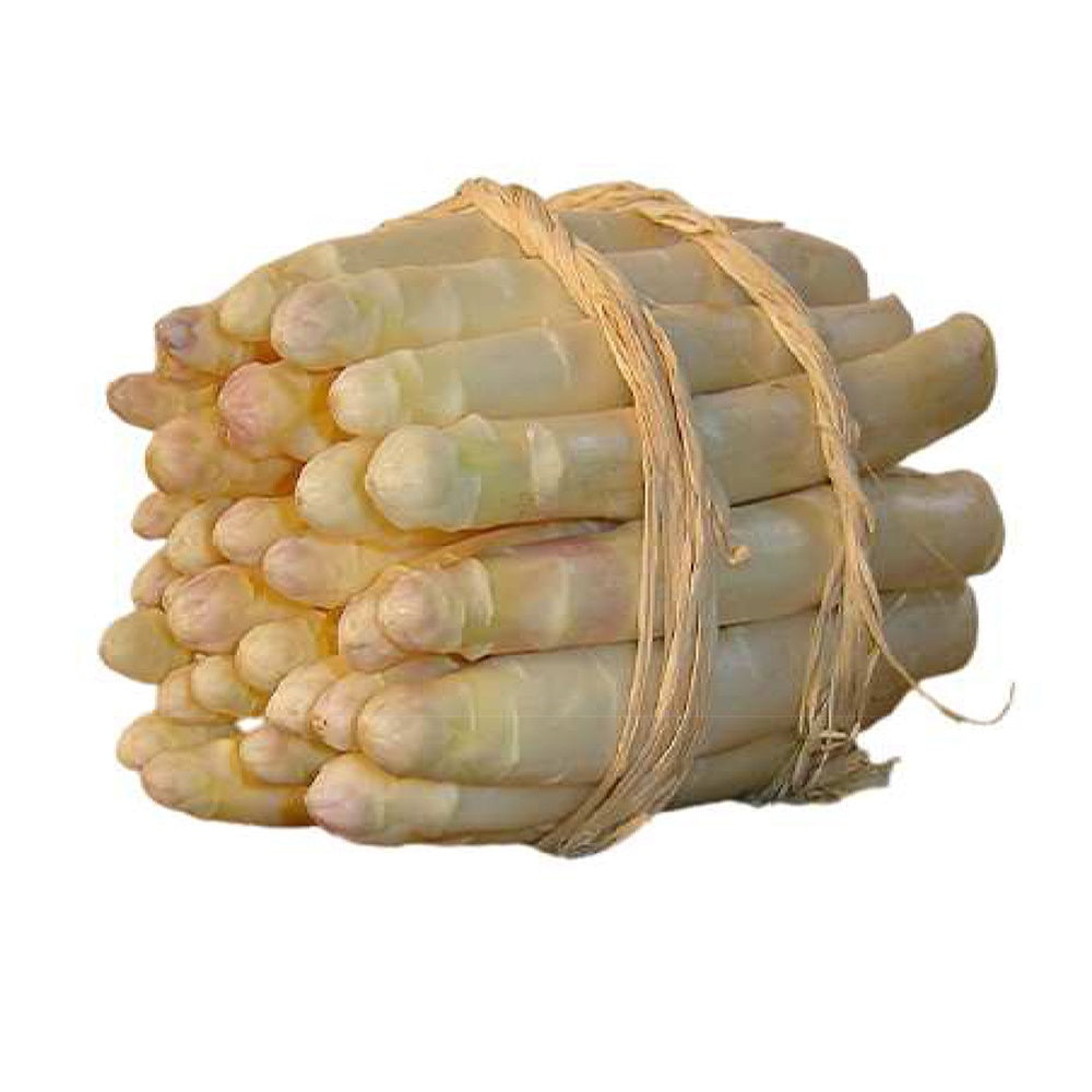 Verkauf Spargel Argenteuil (x10) - Asparagus officinalis argenteuil