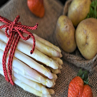 Gemüsepflanzen - Spargel Argenteuil (x10) - Asparagus officinalis argenteuil