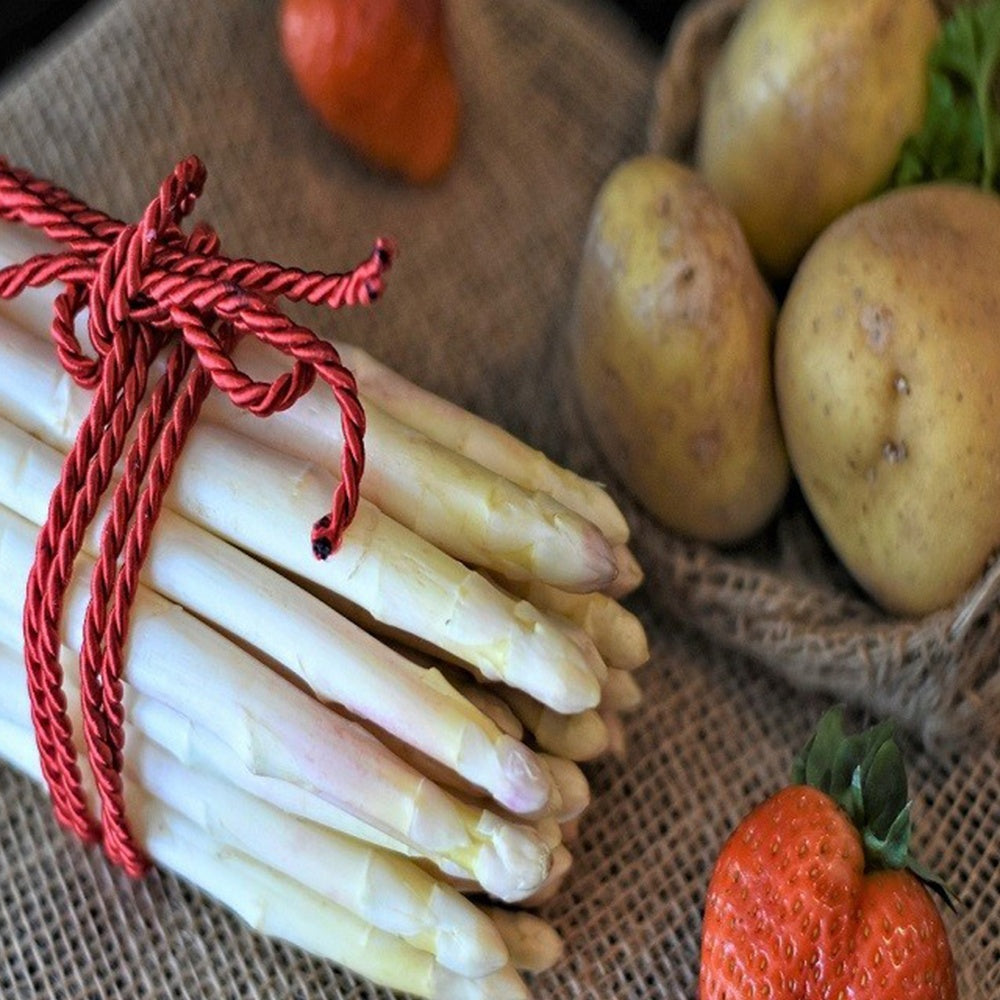Gemüsepflanzen - Spargel Argenteuil (x10) - Asparagus officinalis argenteuil