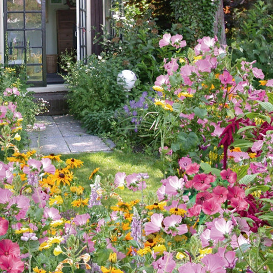 Einjährige Blumenmischung Cottage Garden (5 m²) - Bakker
